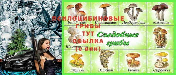 прущие грибы Нефтегорск