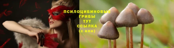 хмурый Нефтекумск