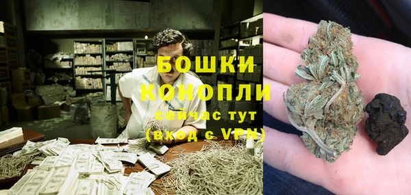 прущие грибы Нефтегорск