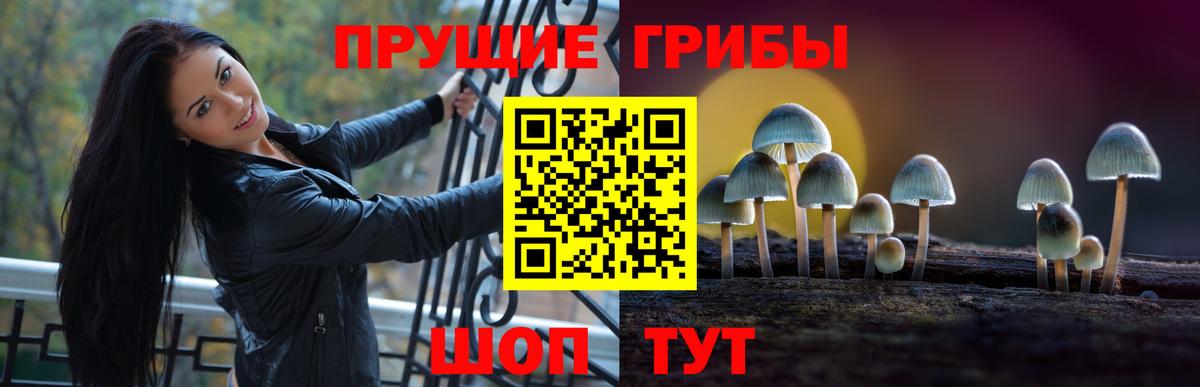 Карталы  Галлюциногенные грибы Psilocybine cubensis  Вход с VPN 