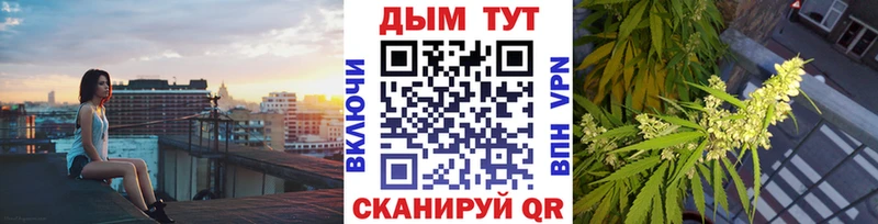 Бошки Шишки Amnesia  где найти наркотики  Карталы 