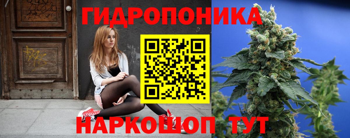 МАРИХУАНА семена Карталы